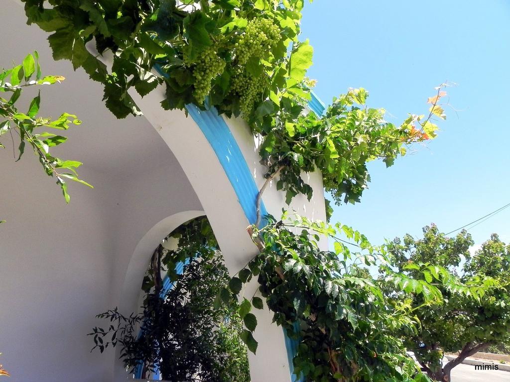 Mihalis Studios Lakki (Karpathos) Quarto foto